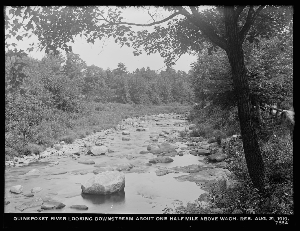 Wachusett Department, Quinapoxet River, looking downstream about one half-mile above Wachusett Reservoir, West Boylston, Mass., Aug. 21, 1919