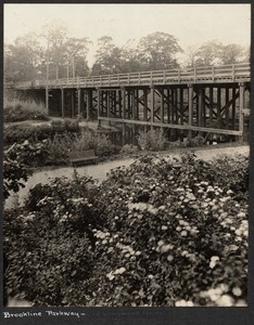 Brookline Parkway - Old Longwood Bridge