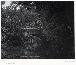 Brookline Photograph Collection