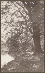 Leverett Pond, Brookline side