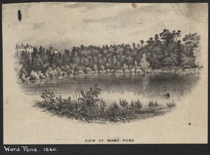 Ward Pond