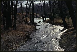 Route 140 Wrentham at Pendleton Road Eagle Brook, part of Charles River complex