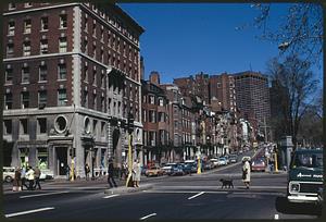 North on Beacon St. from Charles St. at Public Garden