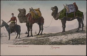Smyrne. Chameaux pehlavans (lutteurs)