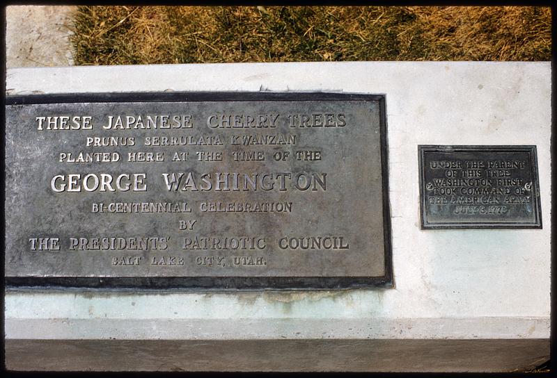 Japanese cherry trees plaque, Salt Lake City, Utah
