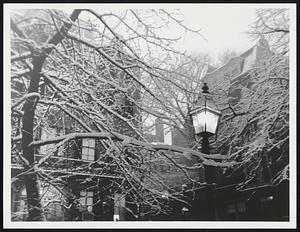 On Chestnut St.
