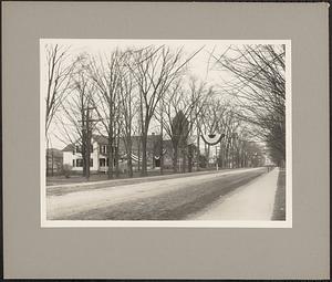 Main Street Decorated for Senator W. M. Crane's Homecoming