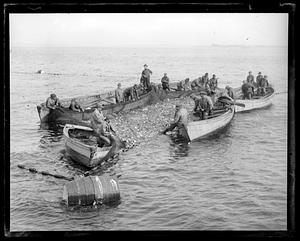 Fishermen pulling full net out of the water