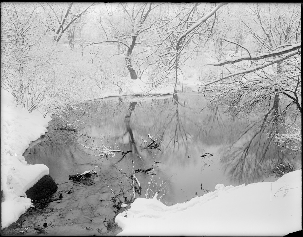 Pool from Willow Spring and Ward's Pond