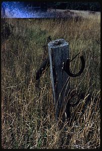 Horseshoes on wooden post in field