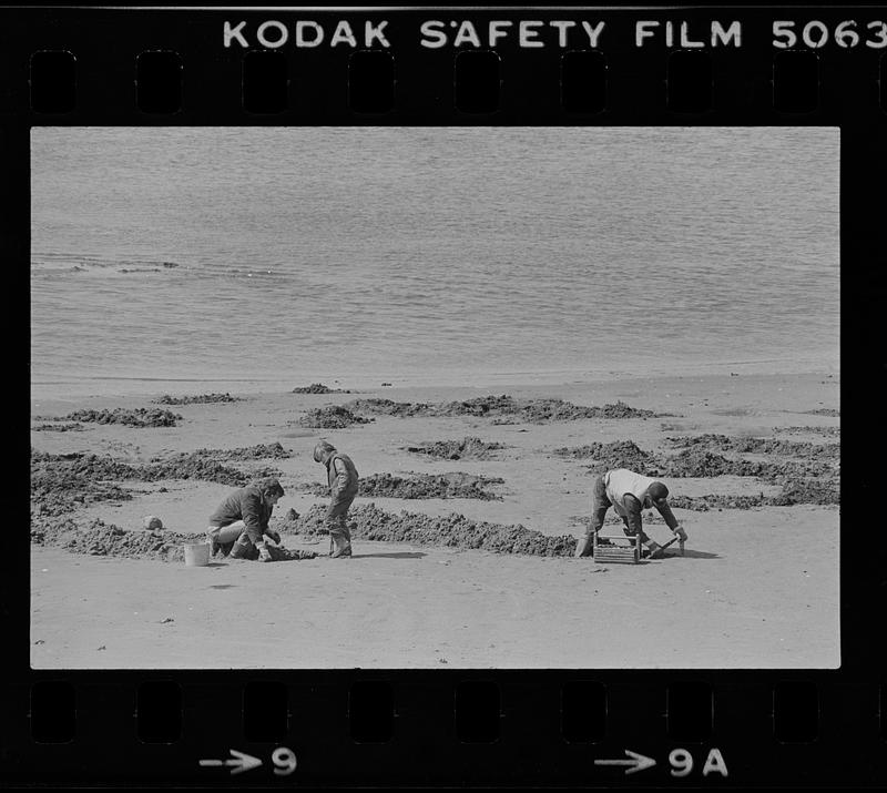 Seabrook clam diggers