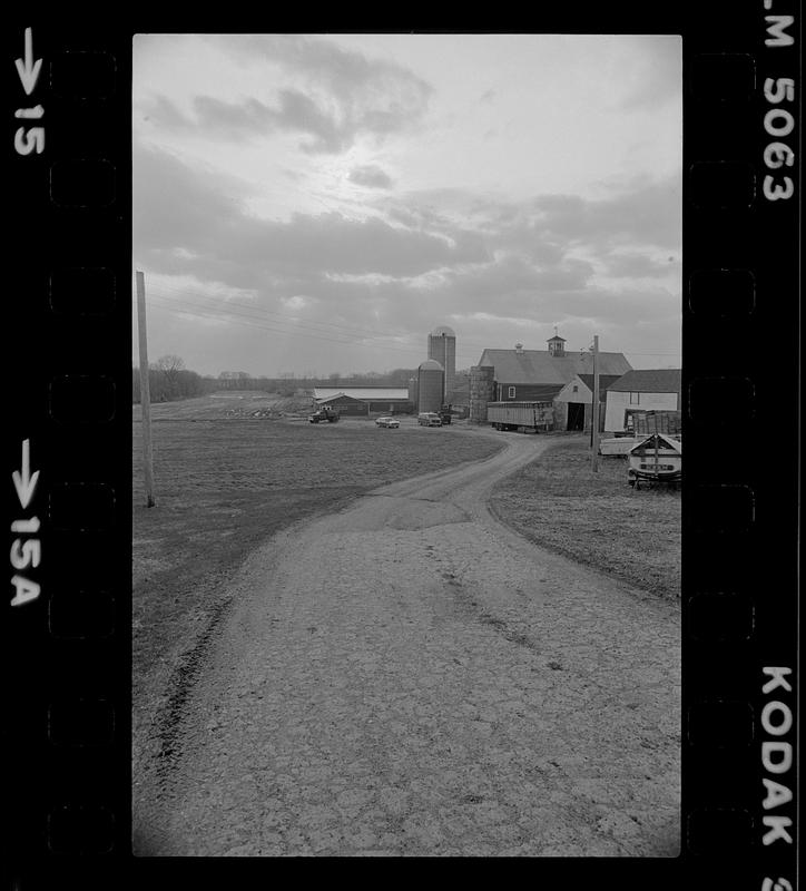 Traister farm Newbury