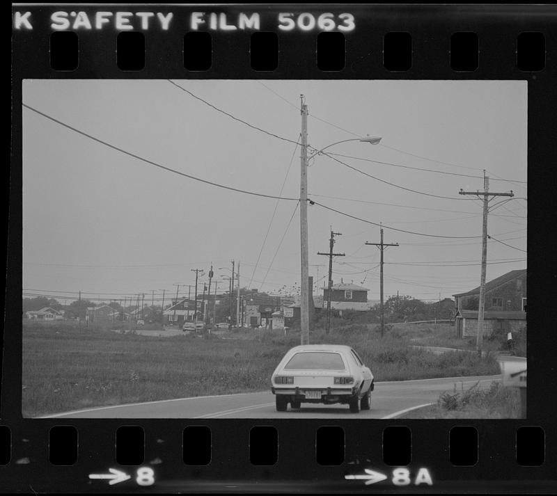 Plum Island turnpike and starlings