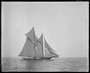 Yacht Fortuna, Cape Ann race