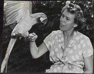 Dr. Patricia O'Connor