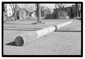 Pole
