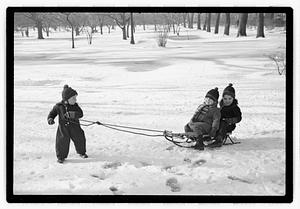 Children of Beacon Hill