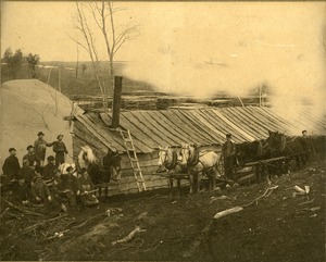 Mills, Princeton, MA - Whittaker Woodlot near Princeton Depot, c 1901