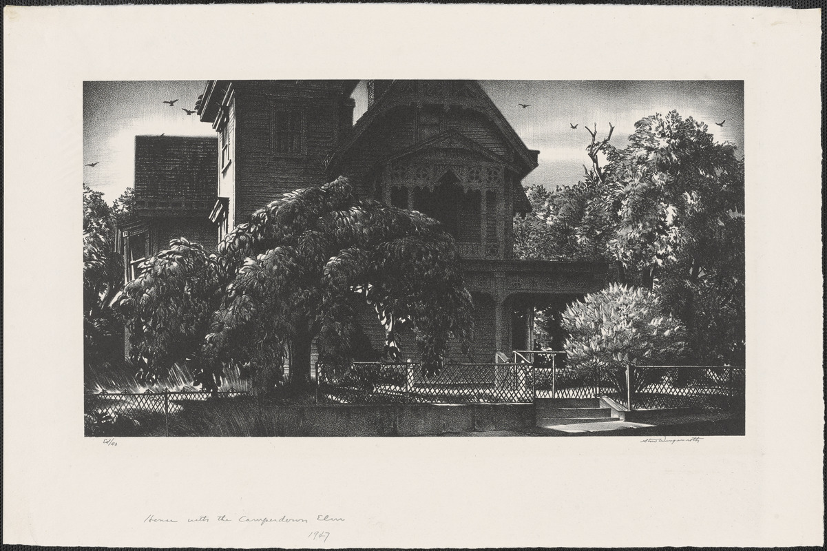 House with the Camperdown Elm