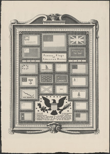 Flag panel