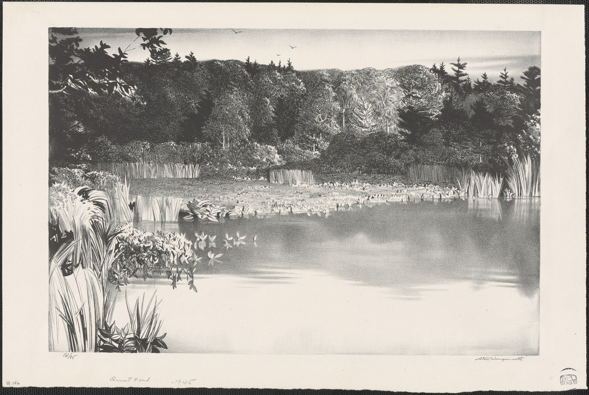 Quiet pond