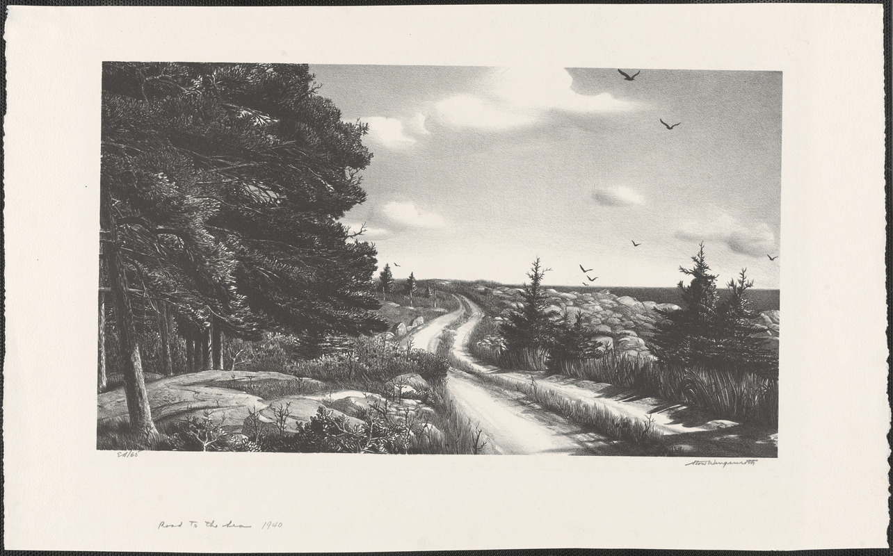 Road to the sea