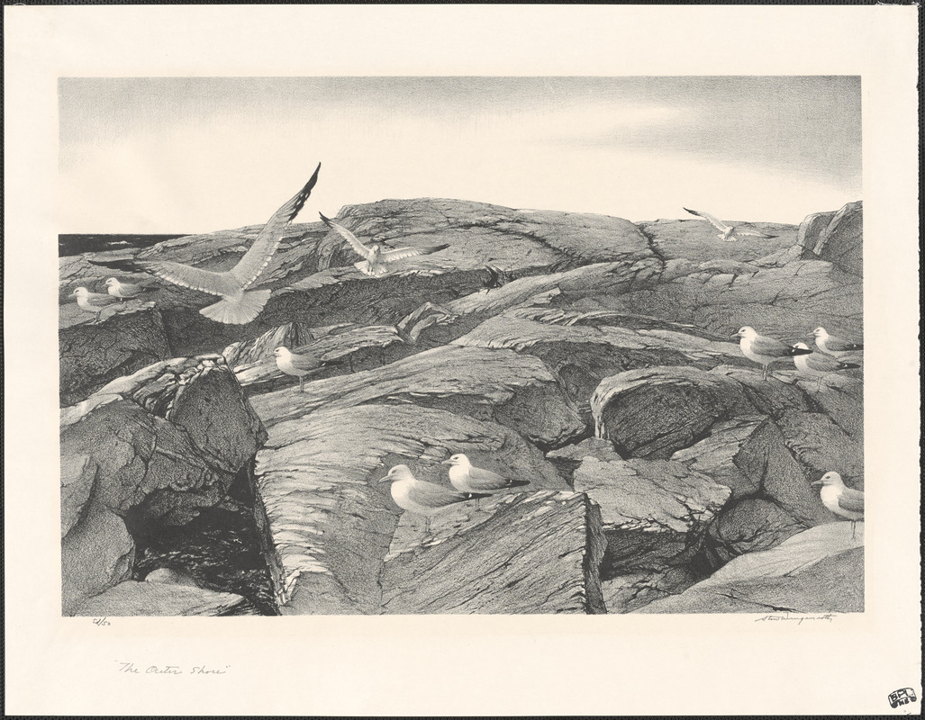 The outer shore