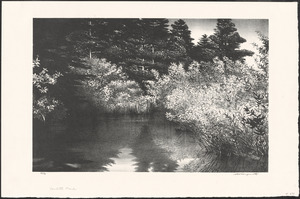 Corbett's pond