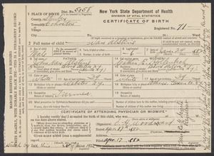 Sacco-Vanzetti Case Records, 1920-1928. Defense Papers. New York State Department of Health Birth Certificate of [blank] van Alstine, April 17, 1882. Box 12, Folder 1, Harvard Law School Library, Historical & Special Collections