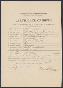 Sacco-Vanzetti Case Records, 1920-1928. Defense Papers. Stockbridge, Massachusetts Birth Certificate for Dorothy Mildred Wrightmyre, June 10, 1913. Box 12, Folder 10, Harvard Law School Library, Historical & Special Collections