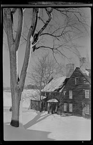 A big house with a big tree