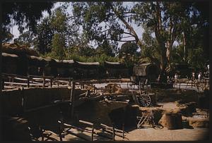 Covered wagons, Knott's Berry Farm