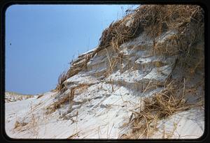 Dunes, Crane's Beach