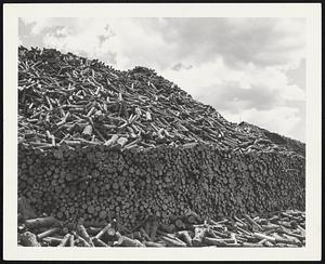 Pulp. Logs.