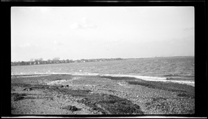 View from Nut Island. November, 1918