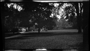 Safford Park Beale Street