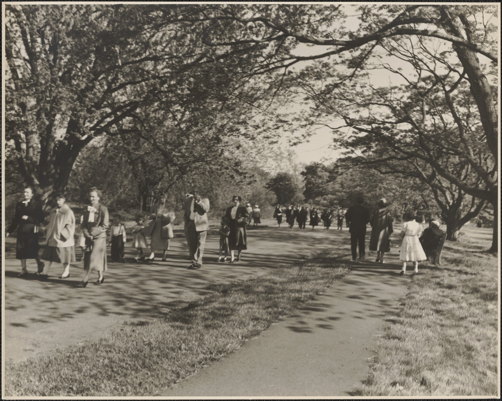 Kerop, Artemis and Jean Nahabedian. Levon and Agnes Mooradian at Arnold Arboretum