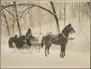 Three people in a horse drawn sleigh