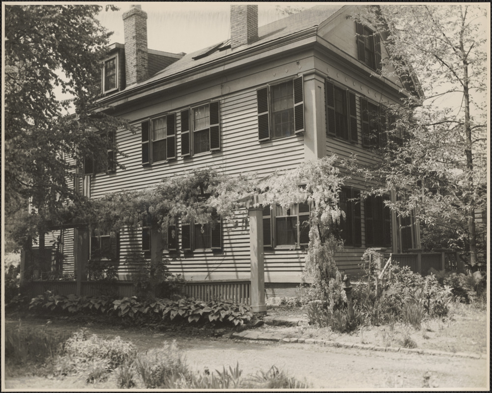 52 Eliot St, Ja. 4-1911. Wisteria flowers