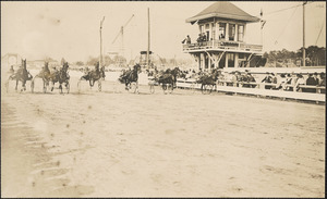 Horse race in acation [i.e. action]
