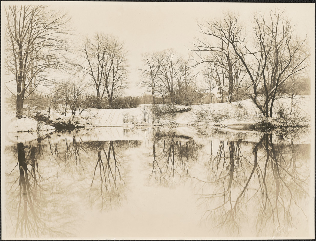 Reflection of snow and trees on water