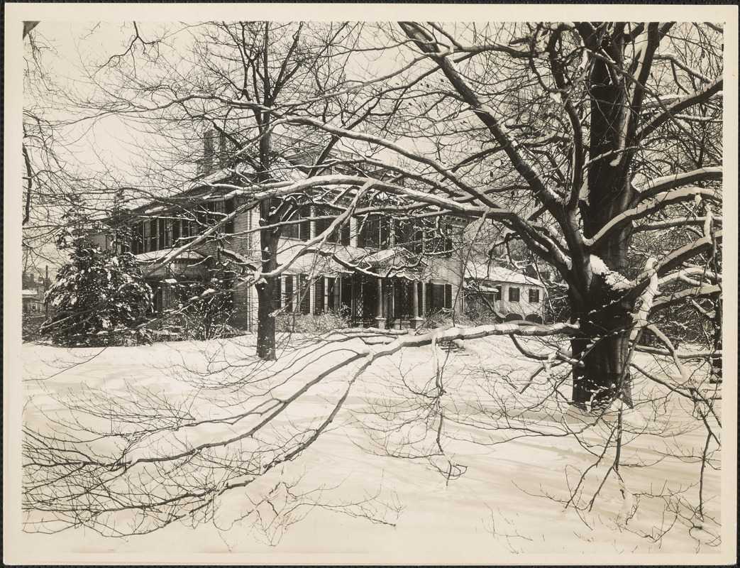 Front of Loring-Greenough House with large tree at right