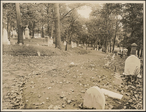 Seepy [i.e. Sleepy] Hollow Cemetery, Concord, Mass.