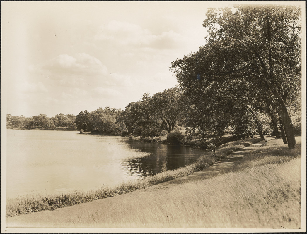 Jamaica Pond, Perkins Street, Parkman Drive side