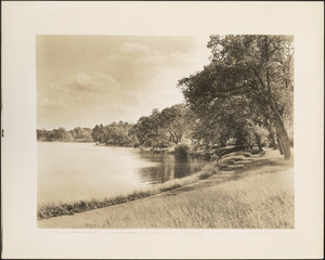 Jamaica Pond, Perkins Street, Parkman Drive side