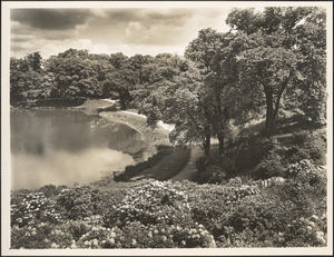 Ward's Pond, looking down from Perkins Street
