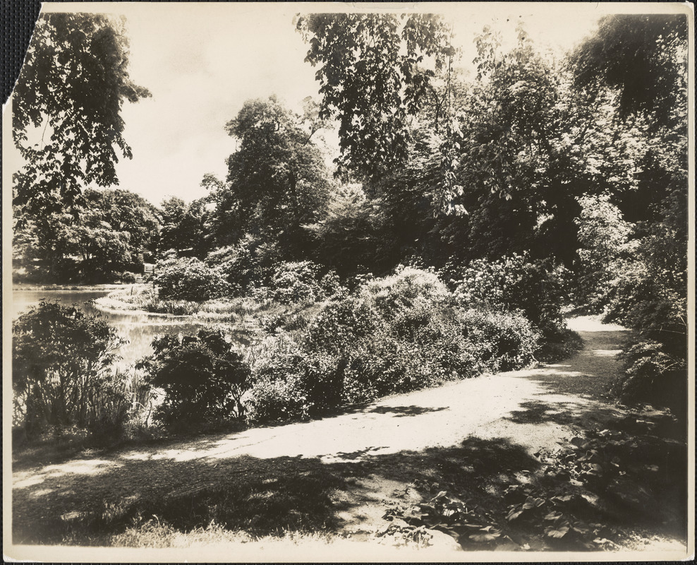 Ward's Pond from spring water rock