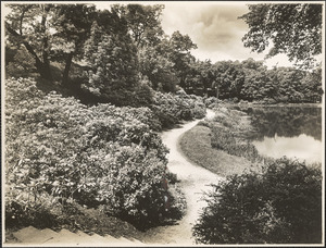 Ward's Pond, looking down from stairs