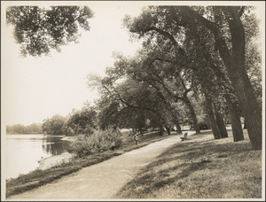 Jamaica Pond and Parkman Road