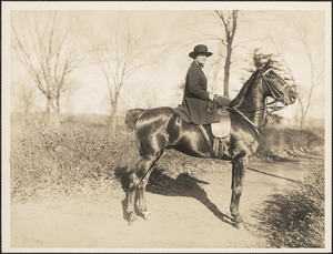 Woman sitting aside a horse